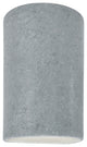 Ambiance Large Cylinder Wall Sconce, Closed, Concrete, E26