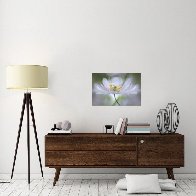 "Nemorosa Nirvana" Stretched Canvas Giclee by Mandy Disher, 30"x20"