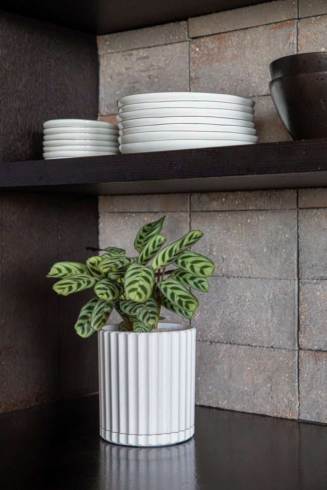 Veradek Demi Series Demi 6" Planter, White, 6 Inch, 2 Pack