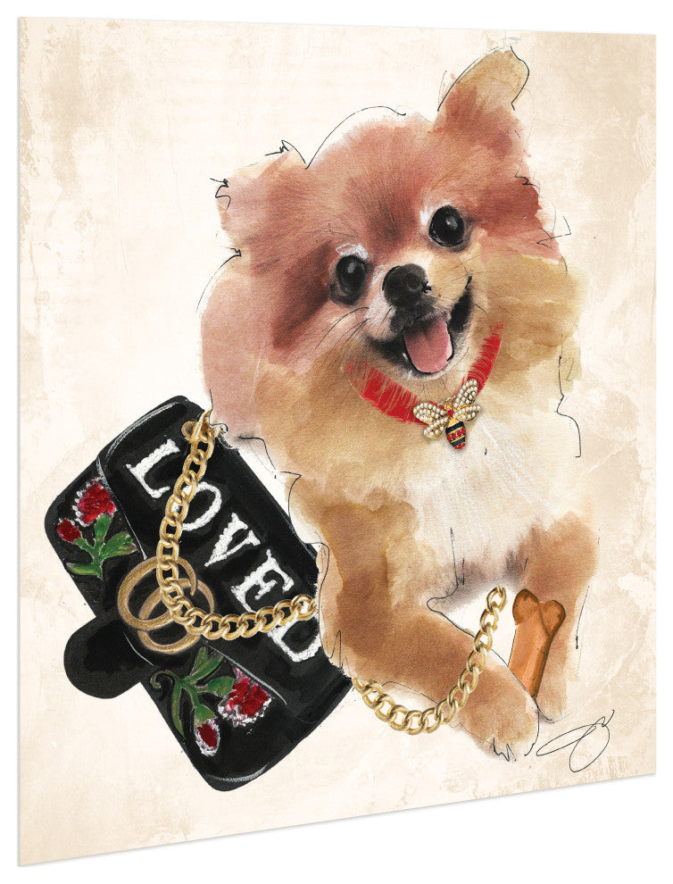 "Pomeranian" Dog Wall Art Print Frameless Free Floating Tempered Glass Panel
