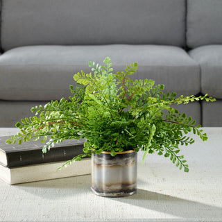 Lifestyle image showing the Maidenhair Fern in its oxidized container in a real-room setting.