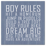Boy Rules 24x24 Canvas Wall Art