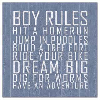 Boy Rules 24x24 Canvas Wall Art