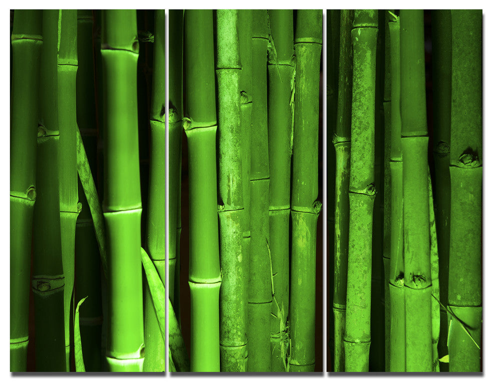 Green Bamboo Forest, Floral Triptych Canvas Art Print, 36x28, 3 Panels