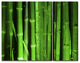Green Bamboo Forest, Floral Triptych Canvas Art Print, 36x28, 3 Panels