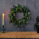 Mixed Eucalyptus Leaf Wreath 24"D