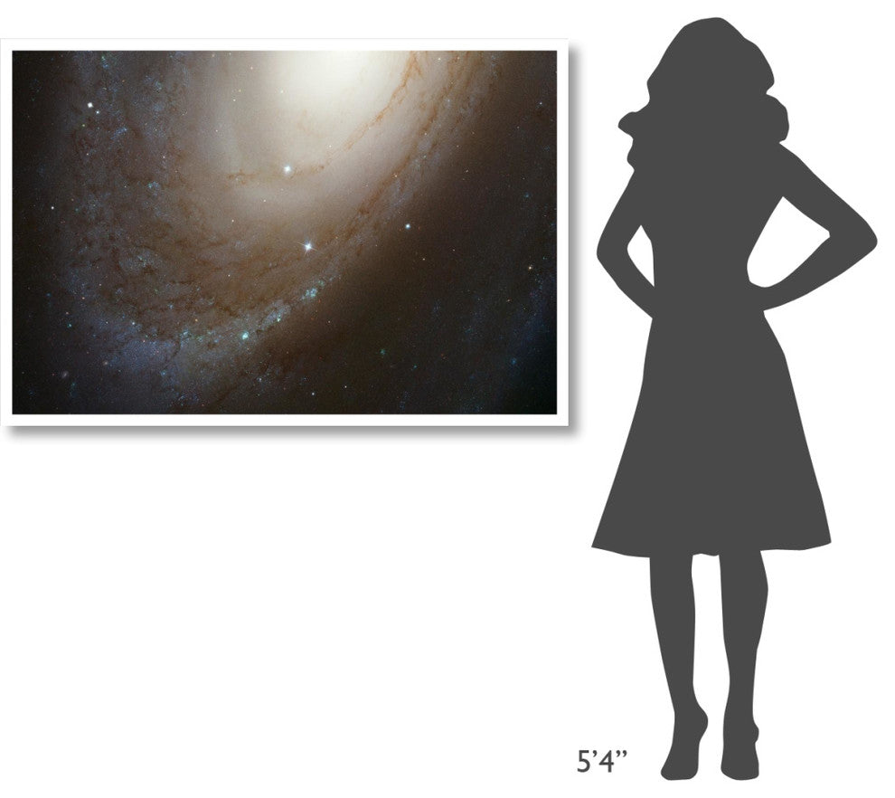 "HST ACS Image of M81" Digital Paper Print by NASA, 50"x34"