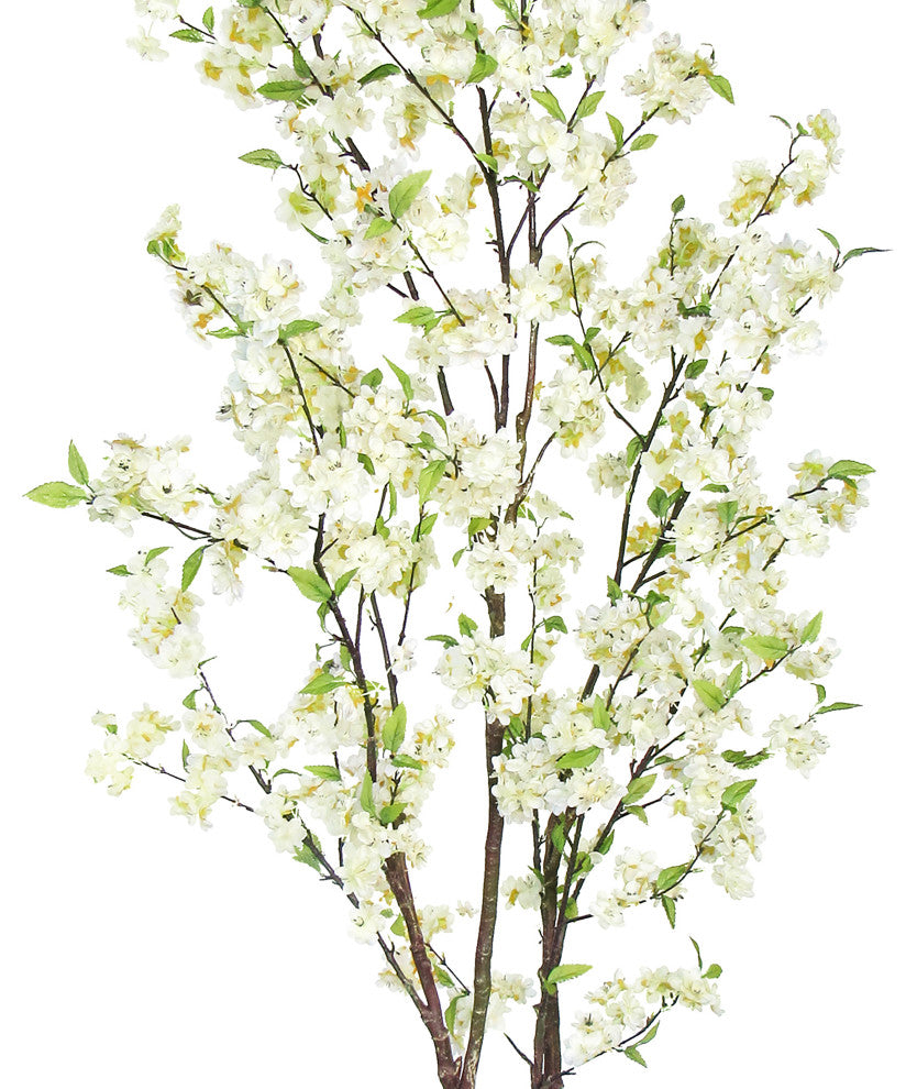 Close-up view of white blossoms on white background.
