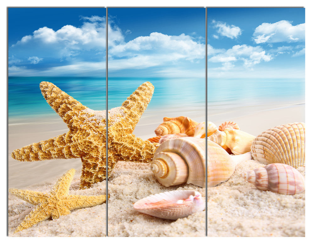 Starfish and Seashells on Beach, Seashore Photo Canvas Print, 36x28, 3 Panels