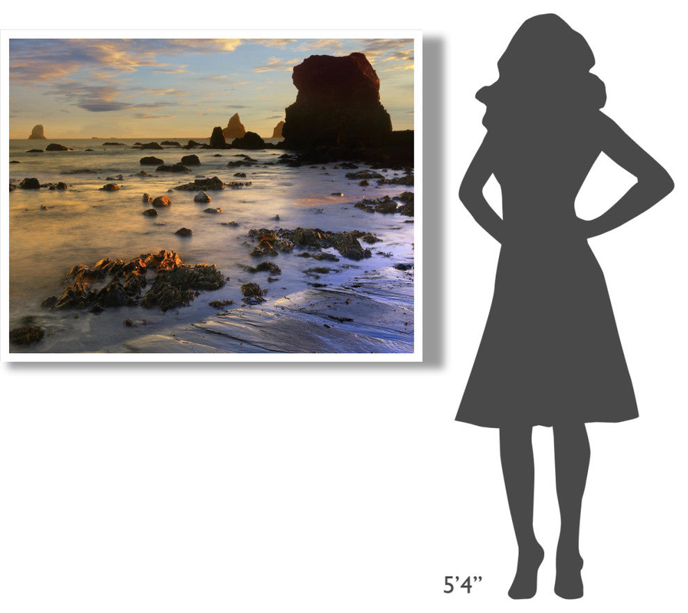 "Seastacks, Lone Ranch Beach, Oregon" Paper Print by Tim Fitzharris, 50"x38"