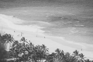 "Throwback to Paradise" Painting Print on Wrapped Canvas