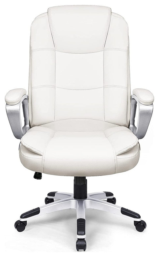 Ergonomic Desk Chair with Lumbar Back Support and Armrest