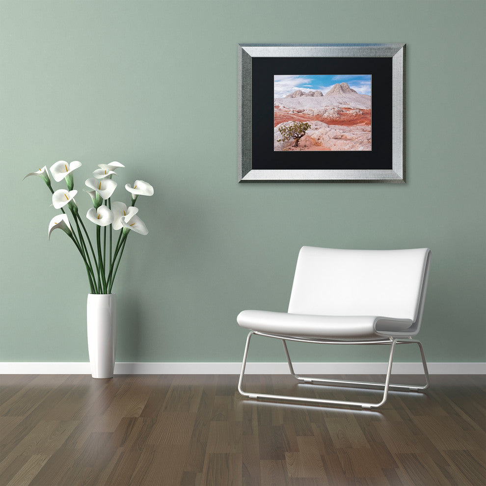 Michael Blanchette 'Tree on Brain Rocks' Art, Silver Frame, Black Mat, 20x16
