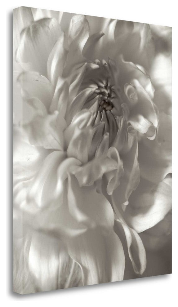 "Florison - 18" By Alan Blaustein, Giclee Print on Gallery Wrap Canvas