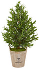 Nearly Natural 38" Olive Cone Topiary Artificial Tree in Farmhouse Planter