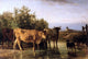 Constant Troyon The Ford, 18"x27" Wall Decal