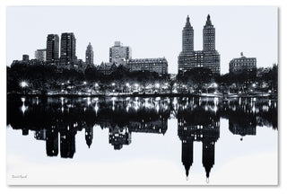 'Central Park West II' Canvas Art by David Ayash
