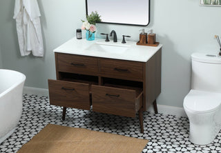 Home Living 22" Midcentury Modern Walnut-Light Bathroom Vanity