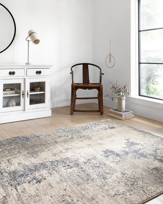 Teagan TEA-07 Area Rug, Natural/Denim, 5'3"x7'6"