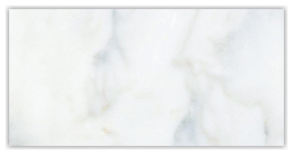 Calacatta Polished 12x24 Micro Beveled Marble Tile