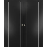 French Double Pocket Doors 48x84 | Planum 0410 Matte Black | Kit Trims Rail