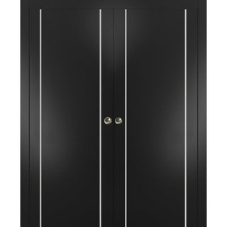French Double Pocket Doors 48x84 | Planum 0410 Matte Black | Kit Trims Rail
