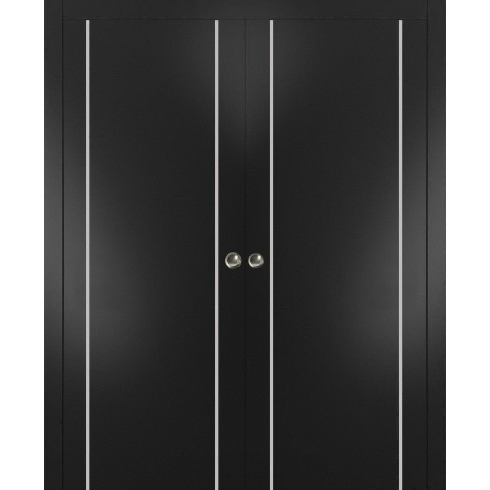 French Double Pocket Doors 48x84 | Planum 0410 Matte Black | Kit Trims Rail