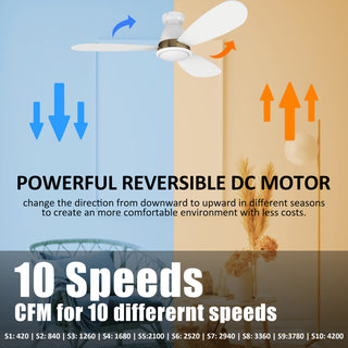 CARRO 52" Flush Mount Ceiling Fan with Dim Light and Remote 10 Speed, White/Gold