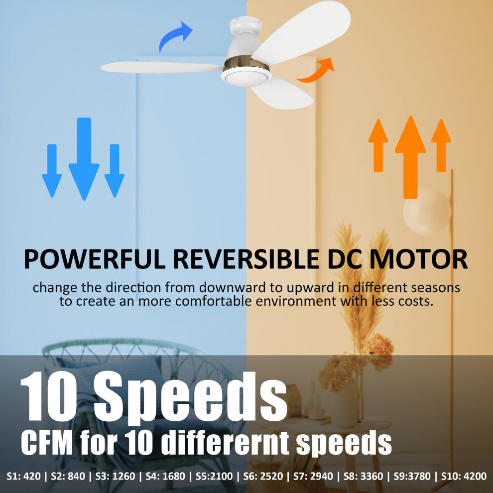 CARRO 52" Flush Mount Ceiling Fan with Dim Light and Remote 10 Speed, White/Gold