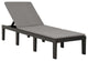 Vidaxl Sun Lounger With Cushion Plastic Anthracite