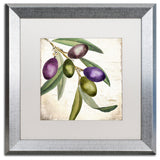 Color Bakery 'Olive Branch I' Matted Framed Art, Silver Frame, White Mat, 16x16