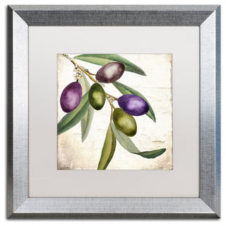 Color Bakery 'Olive Branch I' Matted Framed Art, Silver Frame, White Mat, 16x16
