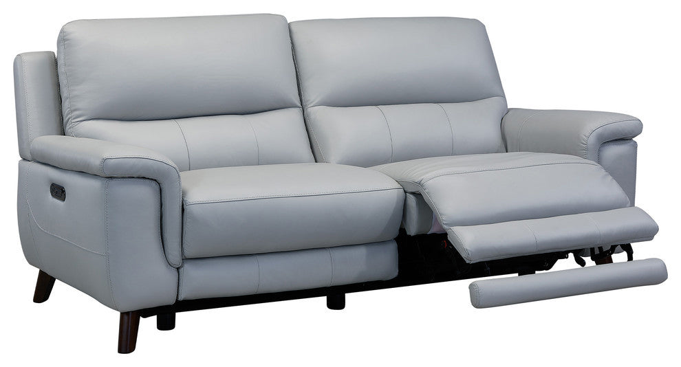 Steffanie Contemporary Sofa, Dark Wood and Dove Gray Genuine Leather