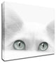 "Diva" by Jon Bertelli, Print on Canvas, 18"x18"