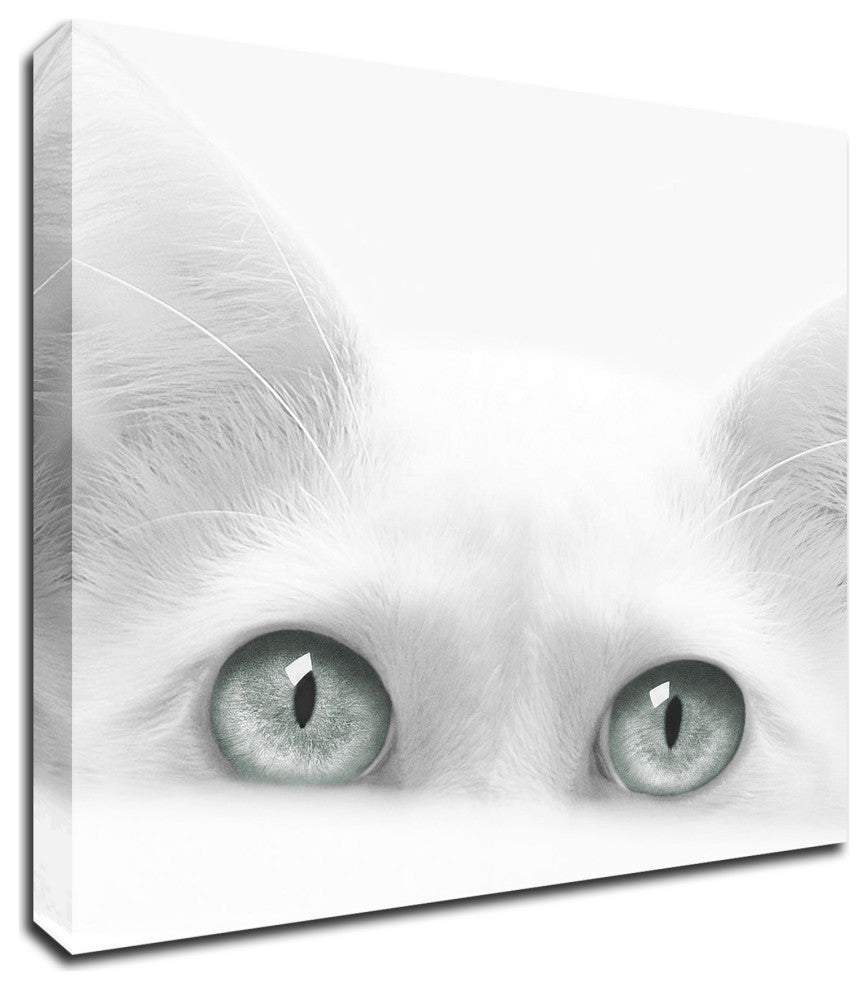"Diva" by Jon Bertelli, Print on Canvas, 18"x18"