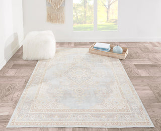 Isabella ISA-1 Machine Made Area Rug, Blue, 4'x6'