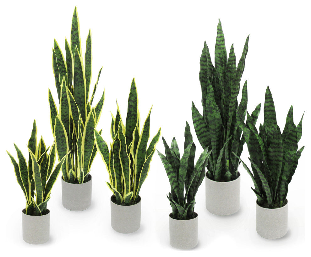 36" Green Yellow Artificial Sansevieria Snake Plant, Gray Pot