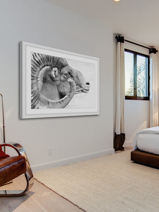 Marmont Hill, "Ram Profile 3" Framed Painting Print, 45x30