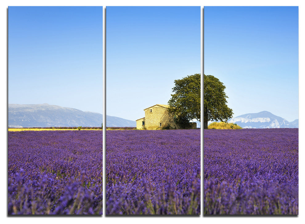 "Lavender Flowers Blooming Field" Metal Wall Art, 3 Panels, 36"x28"