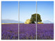 "Lavender Flowers Blooming Field" Metal Wall Art, 3 Panels, 36"x28"