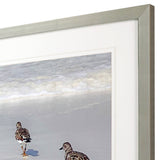 Sandpiper Reflections Artwork