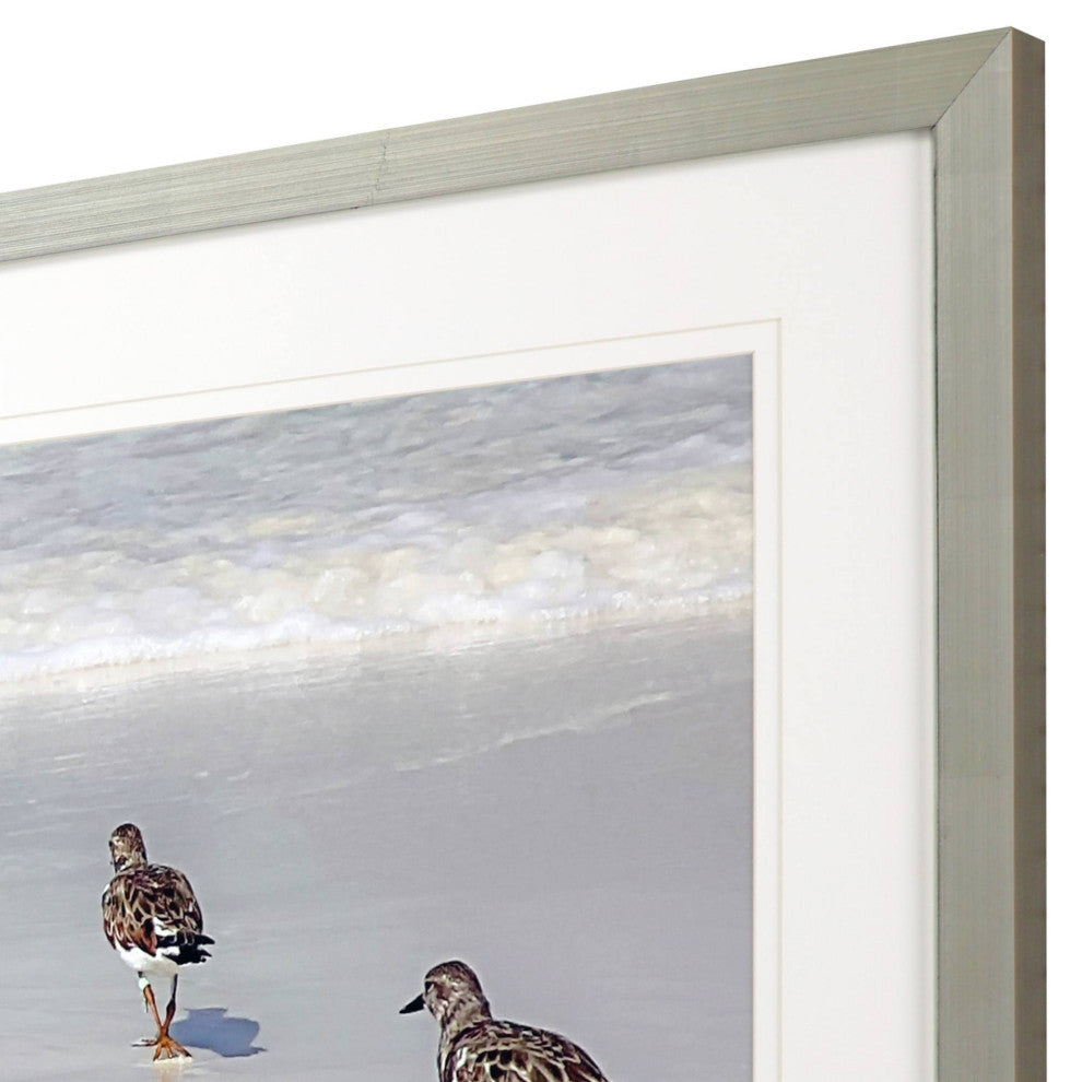 Sandpiper Reflections Artwork