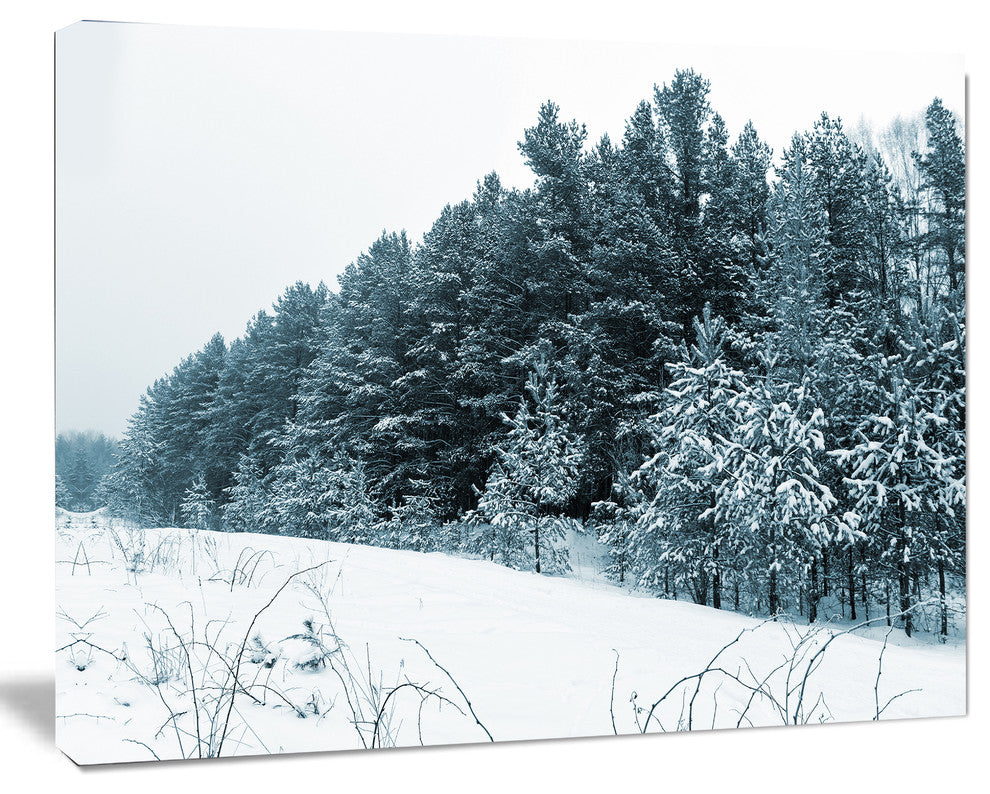 Dark Winter Trees, Landscape Canvas Art Print, 40"x30"