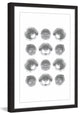 Marmont Hill, "Shells" by Bryon White Framed Painting Print, 24x36
