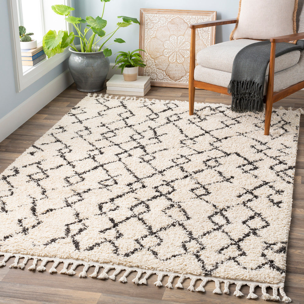 Berber Shag Bohemian Global Charcoal, Beige Area Rug, 2'x3'