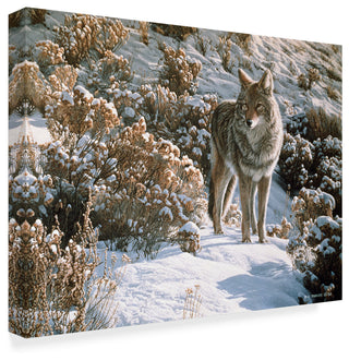 Ron Parker 'Winter Sage Coyote' Canvas Art, 24"x18"