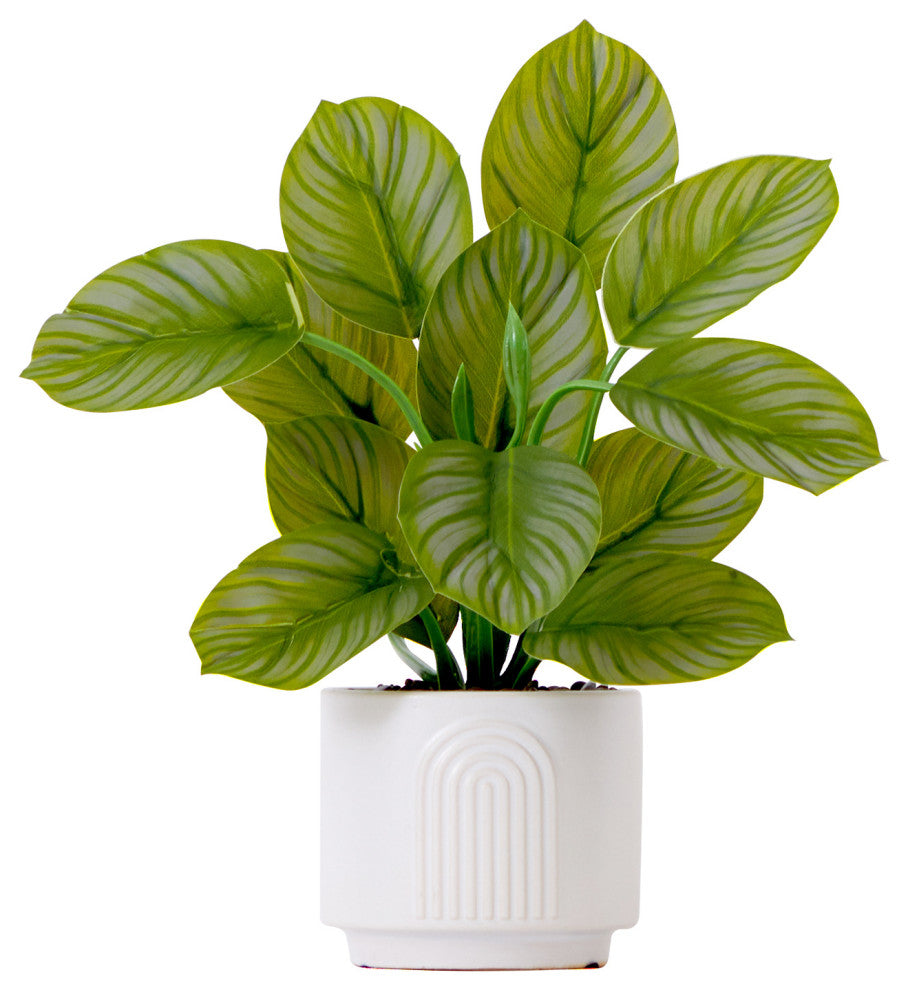 12in. Artificial Calathea Plant with Decorative Planter