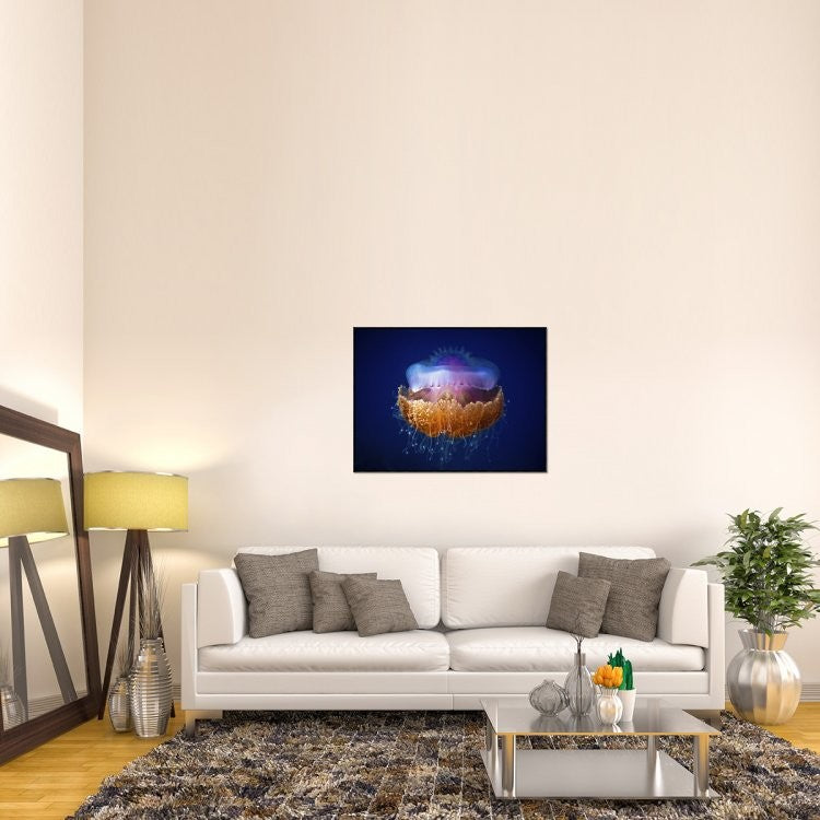 Fried Egg Jellyfish, 40"x30"