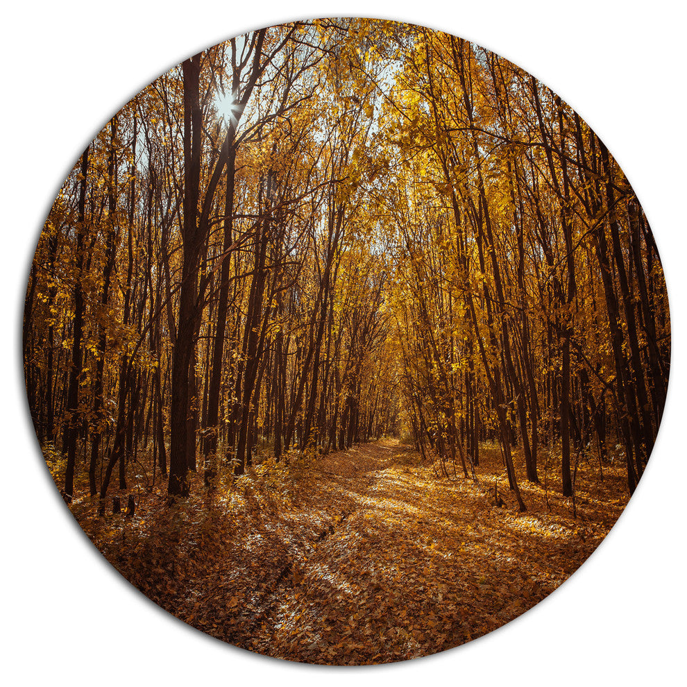Sunset In Yellow Autumn Forest, Modern Forest Disc Metal Wall Art, 23"