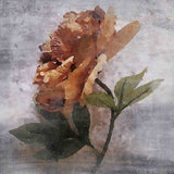 "Stop and Smell" Print on Canvas by Irena Orlov